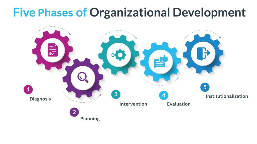 Phases of Organizational Development